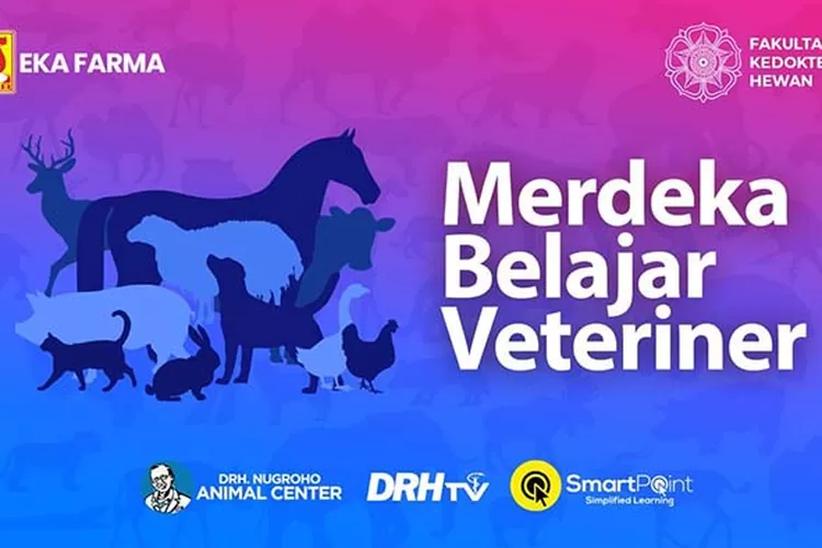 Keterbatasan Akses Pendidikan: Penyebab Keterbelakangan Manusia dan Ekonomi di Negara-Negara Berkembang